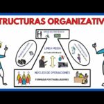 Organización de segundo nivel: Optimiza tu estructura empresarial